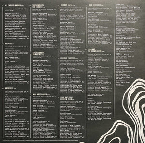 Madison Cunningham - Revealer