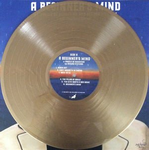 Sufjan Stevens - A Beginner's Mind