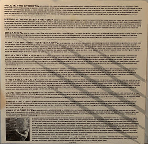 Helix - Wild In The Streets - 1987