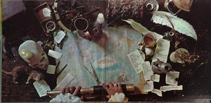 The Flock - Dinosaur Swamps