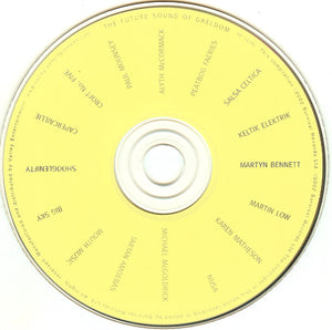 Various - The Future Sound Of Gaeldom (CD) - 2002