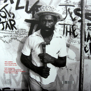 Lee Perry - The Return Of Pipecock Jackxon - 2011