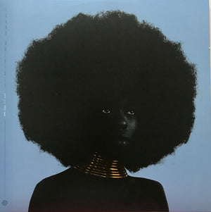 Sudan Archives - Sink