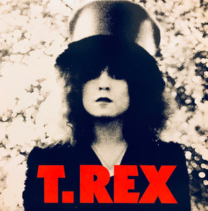 T. Rex - The Slider -