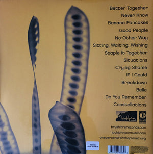 Jack Johnson - In Between Dreams