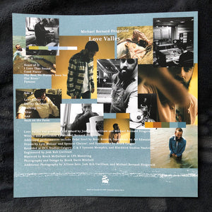 Michael Bernard Fitzgerald - Love Valley