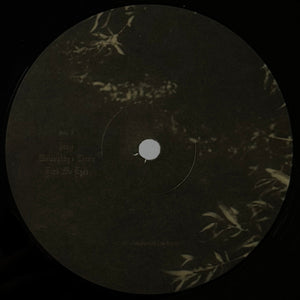 Ethel Cain - Willoughby Tucker, I'll Always Love You