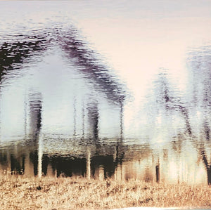 Metz - Up On Gravity Hill - 2024