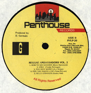 Various - Reggae Ambassadors Vol. 2