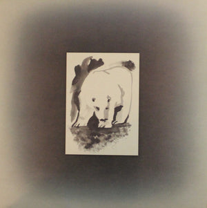 Cat Stevens - Foreigner