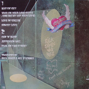 Rick James - Bustin' Out Of L Seven