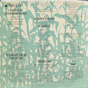 Robotman And Friends - Straight From The Heart