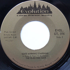The Electric Hair - Let The Sunshine In