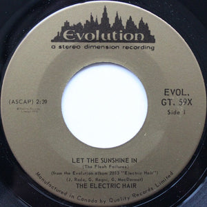 The Electric Hair - Let The Sunshine In