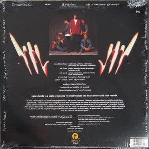 Peter Himmelman - Synesthesia