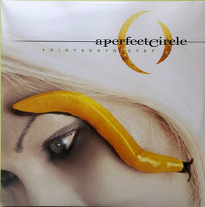 A Perfect Circle - Thirteenth Step - 2019