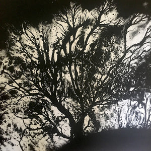 Dead Can Dance - The Serpent's Egg - 2016