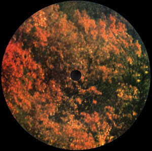 Tame Impala - Innerspeaker - 2024