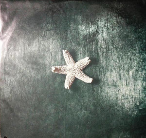 Church, The - Starfish - 1988