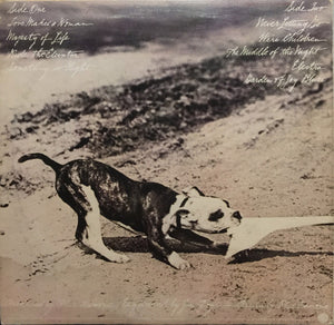 Phoebe Snow - Never Letting Go