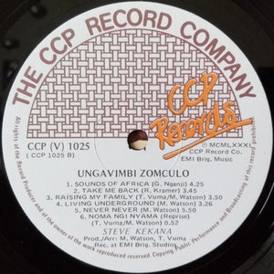 Steve Kekana - Don't Stop The Music: Ungavimbi Zomculo