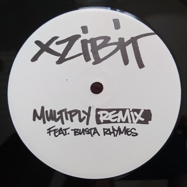 Xzibit - Multiply (Remix)
