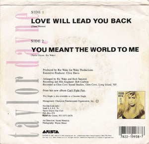 Taylor Dayne - Love Will Lead You Back