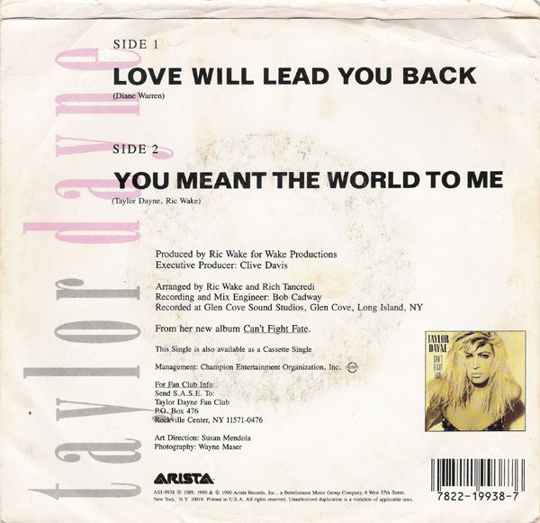 Taylor Dayne - Love Will Lead You Back