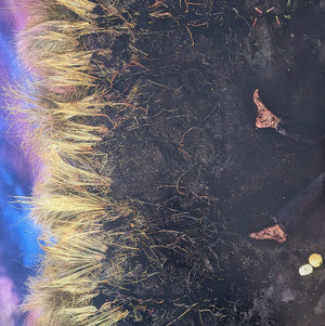 Hozier - Unreal Unearth