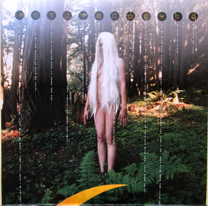 A Perfect Circle - Thirteenth Step - 2019