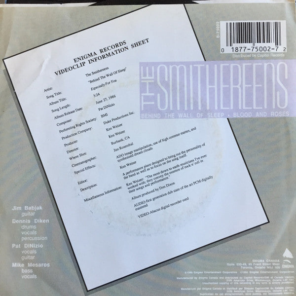 The Smithereens - Behind The Wall Of Sleep