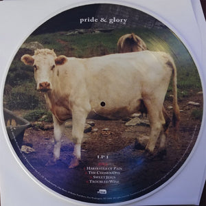 Pride & Glory - Pride & Glory