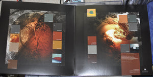 Solar Fields - Ourdom - 2018