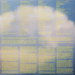 Gracie Abrams - The Secret Of Us Vinyl Record