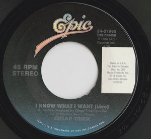 Cheap Trick - Don't Be Cruel - 1988