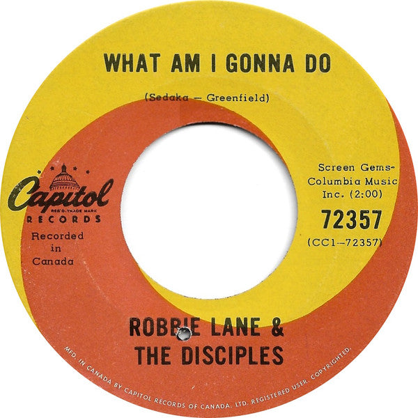 Robbie Lane & The Disciples - What Am I Gonna Do - 1966