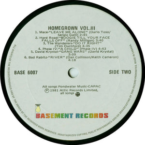 Various - Q107 Homegrown Volume 3 - 1981