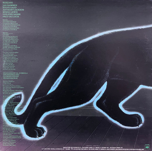 Al Di Meola - Electric Rendezvous