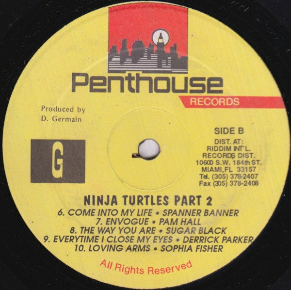 Various - Ninja Turtle Part 2