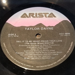 Taylor Dayne - I'll Always Love You