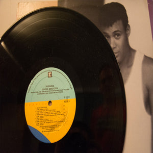 Narada Michael Walden - Divine Emotion