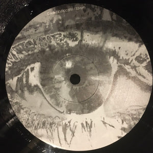 Sinéad O'Connor - Troy (The Phoenix From The Flame)