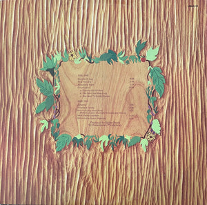 Five Man Electrical Band - Coming Of Age - 1971