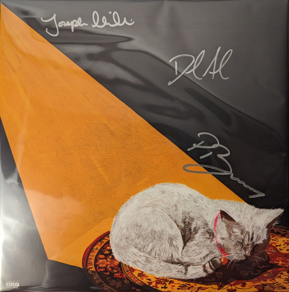 Joywave - Permanent Pleasure Vinyl Record