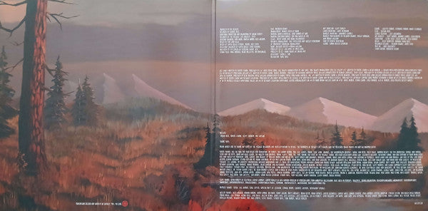 Weezer - Everything Will Be Alright In The End - 2024