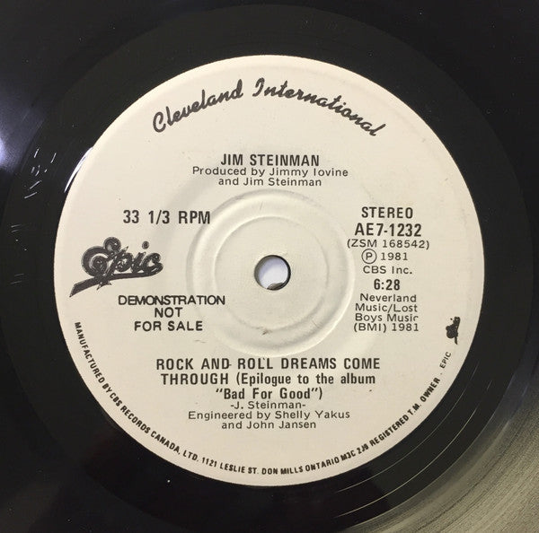 Jim Steinman - Storm / Rock And Roll Dreams Come Through
