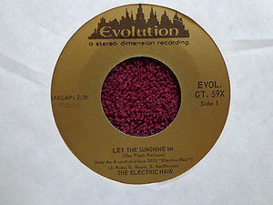 The Electric Hair - Let The Sunshine In