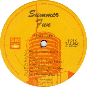 Beach Boys, The - Summer Fun - 1979