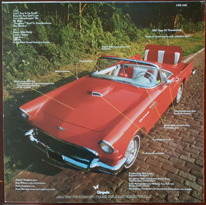 The Fabulous Thunderbirds - T-Bird Rhythm