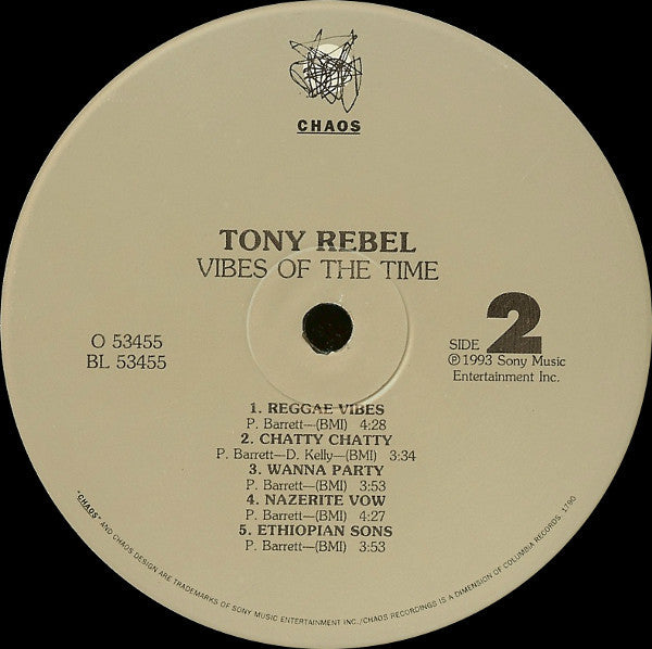Tony Rebel - Vibes Of The Time
